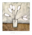 Tulipa Group I