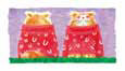 Funky Cat Cats & Kittens Non-Pedigreed Cats