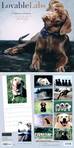 Lovable Labs
