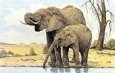 Elephants by the Waterhole