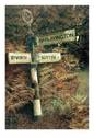 Directions Scenic Streets & Roadways