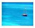 Blue Sail