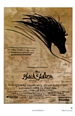 Black Stallion