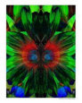 Bug Splat Abstract Color