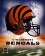 Bengals Helmet Logo (