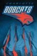 Charlotte Bobcats