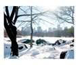 Central Park Snow, Lake and Manhattan Skyline New York Central Park