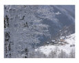 Alpine Village Emerging Artists Art on the Verge