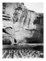 Navajo Farming