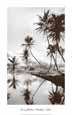 Coco Palms, Honolulu, 1935