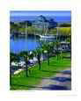 Battery Park Harbor - Apalachicola, FL