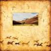 Red Rock Wild Horses