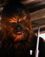 Chewbacca (oversized postcard)