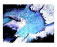 Abstract 005