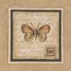 Messenger of Spring Bugs & Insects Butterflies & Moths