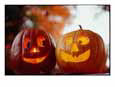 A Cheerful Pair of Jack-O-Lanterns against a Background of Fall Foliage