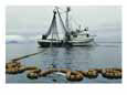 A fishing boat with a large net in the water