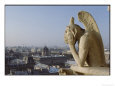 Gargoyle and views of Paris from Notre Dame