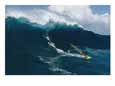 Windsurfing off the north shore of Maui Island