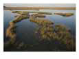 This marshy landscape stretches as far as the eye can see