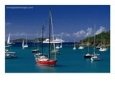 Sailing Ships and Cruise Ship in Harbour, Port Elizabeth, St. Vincent & the Grenadines