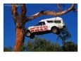 Car Hanging on Tree, Safety Message on Old Coast Road in South-West, Australia