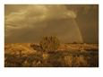 A rainbow appears as a storm approaches a sagebrush-covered mesa