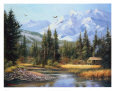 Cabin in the Foothills