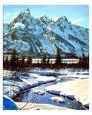 Winter Wonderland