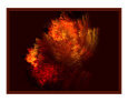 Autumn Fires Abstract Color