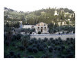 The Church of All Nations - Garden of Gethsemane, Mount of Olives