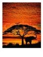 Elephant Under Broad Tree Animals Elephants