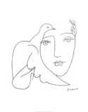 Face - Dove