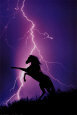 Lightning and Silhouette of Horse