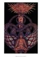 Primordial Connection
