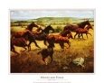 Mares and Foals