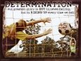 Determination Motivational Determination