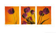Bright Garden II