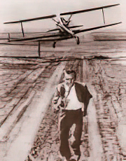 Cary Grant Thrillers North by Northwest