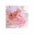 Powder Pink