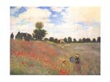 Poppies