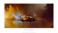 Spitfire