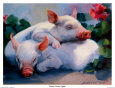 Dream Away Piglets