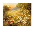 Evening Sun