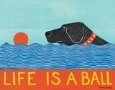 Life is a Ball