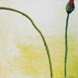 Becoming To Be II
