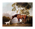 Bay Horse and White Dog