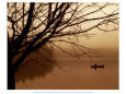 Quiet Seclusion I