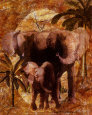 Jungle Elephants