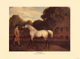 Gimcrack (Race Horse)